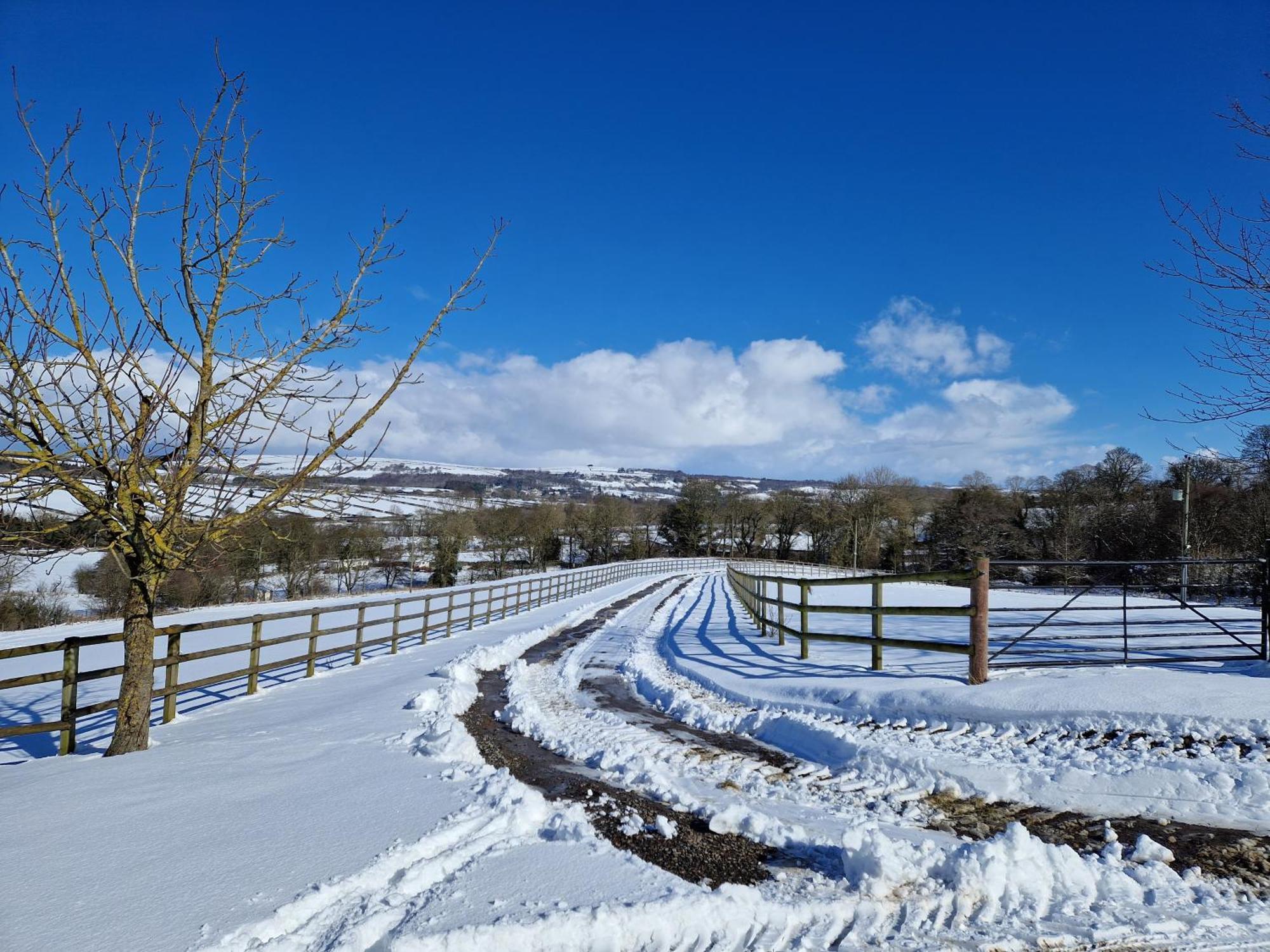 فيلا The Den, Coves House Wolsingham المظهر الخارجي الصورة